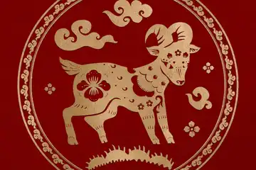 Ilustrasi lamaran shio Kambing tahun 2023.