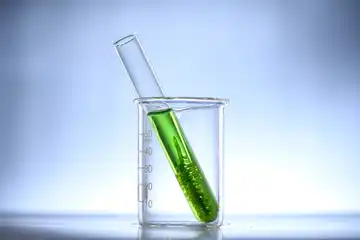 Ilustrasi protista mirip tumbuhan (algae atau ganggang).
