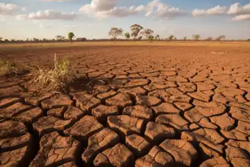 Ilustrasi kekeringan dampak El Nino 