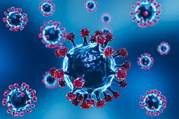ilustrasi virus nipah