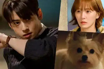 Sinopsis drama Korea A Good Day To Be A Dog dan daftar nama pemainnya.