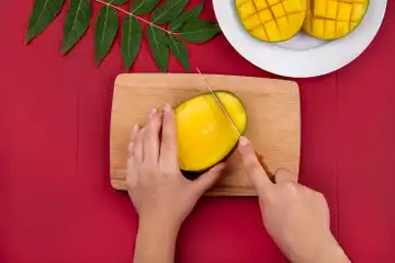 Illustrasi Mangga