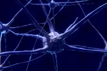 Apa Itu Empty Sella Syndrome? Penyakit Langka yang Diderita Ruben Onsu