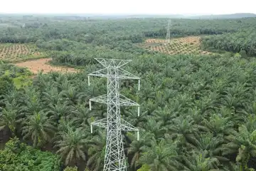 SUTT 150 kV Kendawangan - Sukamara yang saat ini dalam proses _stringing_ melewati enam belas Desa, delapan Kecamatan dan dua Kabupaten yaitu Kabupten Ketapang dan Kabupaten Sukamara. Dengan jumlah 438 titik tower, SUTT ini memiliki panjang 302,24 Kms.