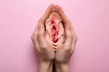 Illustrasi Vagina