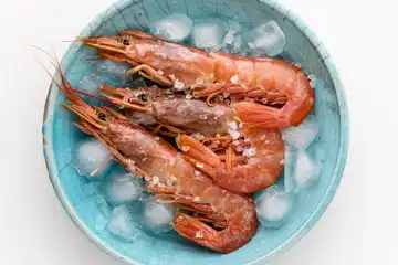 Illustrasi Udang