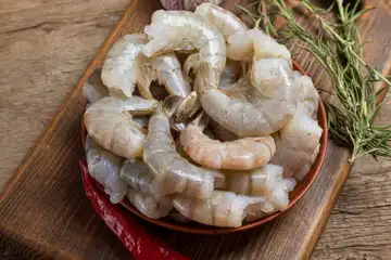 Illustrasi Udang