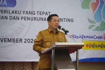 Wali Kota Banjarmasin, Ibnu Sina
