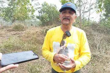 Kepala Dinas Pertanian dan Ketahanan Pangan Kalsel, Syamsir Rahman