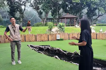 Bird Presentation di Taman Burung Jagat Satwa Nusantara TMII