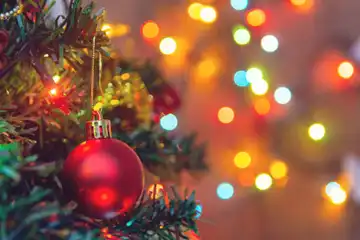 Lirik Lagu Feliz Navidad - Jose Feliciano dengan Terjemahan