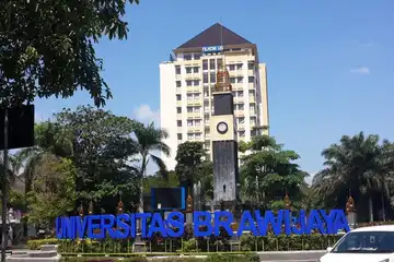 ilustrasi Nilai Rata-Rata Raport SNBP UB 2025:Lengkap untuk Soshum dan Saintek