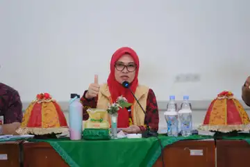 Bupati Gowa, Sitti Husniah Talenrang