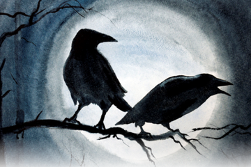 Dianggap Perwujudan Malaikat Pelindung, Ini Mitos Mendengar Suara Burung  Malam Hari - Sonora.id