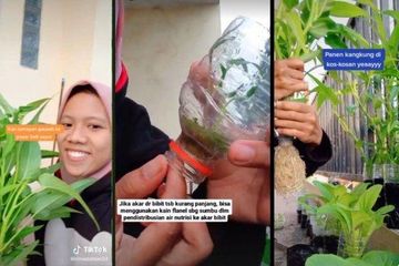 Cocok Buat Anak Kos, Video TikTok Cewek Ini Bagikan Tips Cara ...