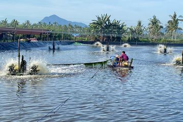 PLN Siap Dukung Usaha Agribisnis Terbesar di Singkawang - Sonora.id