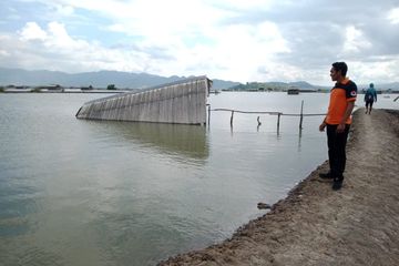 Banjir ROB Rendam 50 Rumah dan 280 Petak Tambak Warga di Bima ...
