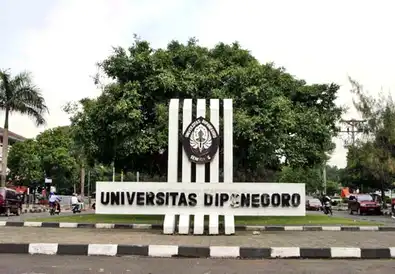 Skor UTBK SNBT UNDIP 2025, Paling Lengkap Semua Jurusan!