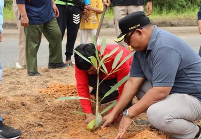 Akselerasi Serambi Nusantara 'Beautifikasi Coastal Road' sebagai Sistem Ruang Terbuka Hijau