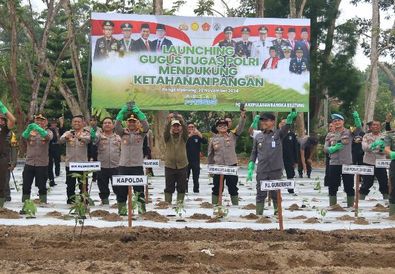 Dukung Program Ketahanan Pangan, Polda Babel Dan Jajaran Tanami Ribuan Bibit Tanaman Di Lahan 50 Hektar