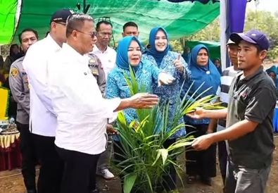 Peluncuran Program Ketahanan Pangan 2025: Pemkot Prabumulih Tanam Jagung di Desa Rambang Senuling