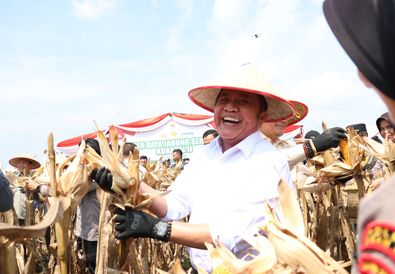 Panen Raya Jagung 8 Ton/Hektar: Sinergi Polda Sumsel dan Petani Menjawab Tantangan Ketahanan Pangan Nasional