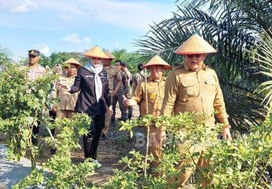 Pemkab Bangka Selatan Genjot Kemandirian Desa Lewat Program Ketahanan Pangan