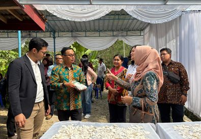BRI Life Dorong Daya Saing dan Peningkatan Nilai Produksi Singkong  Melalui Rumah Produksi dan Pemasaran UMKM  di Desa Gayamharjo, Sleman