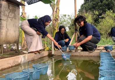 Dukung Pertanian Berkelanjutan, Mahasiswa MMD UB Kenalkan Aquaponik Berbasis Potensi Lokal di Dusun Aran-Aran