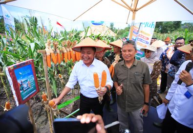 Gubernur Herman Deru Dorong Peningkatan Produksi Pertanian, Sumsel Masuk 5 Besar Nasional
