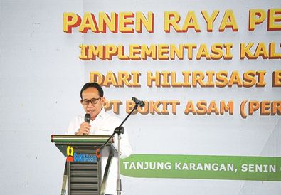 Panen Raya Padi Berbasis Kalium Humat, Bukti Hilirisasi Batubara Dukung Ketahanan Pangan