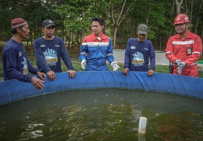 Pertamina Patra Niaga Kilang Plaju Perkuat Konservasi Lingkungan demi Energi Berkelanjutan