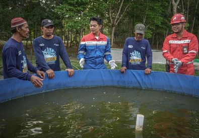 Kilang Plaju Konsisten Lestarikan Keanekaragaman Hayati, dari Konservasi Rusa Sambar hingga 21 Ribu Mangrove