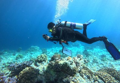 Dorong Ekonomi Biru, Maluku Perkuat Konservasi Laut Berbasis Sains