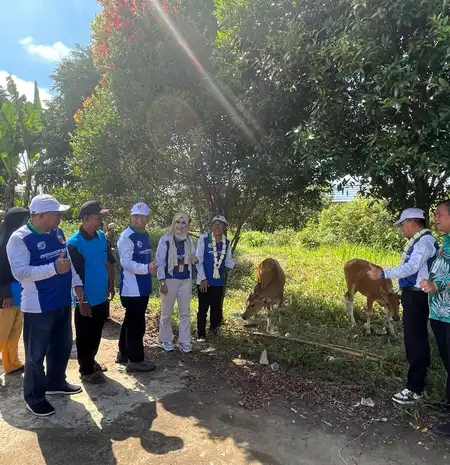Disnakertrans Kalsel Serahkan Bantuan 7 Ekor Bibit Sapi Ke Desa Danda Jaya Barito Kuala