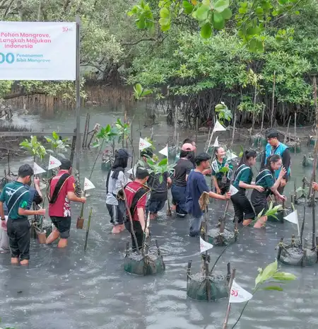 Telkomsel dan Ciro Waste Tanam 600 Bibit Mangrove di Balikpapan