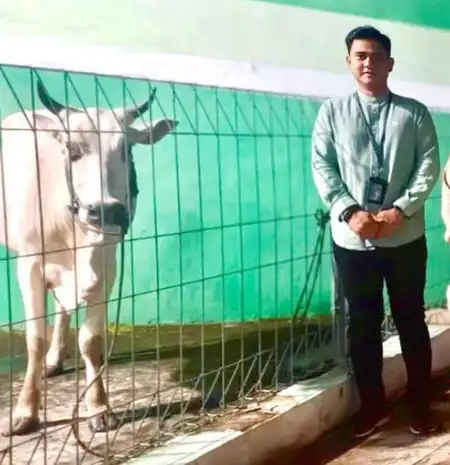 Momen Idul Adha 1446 H BRI Cabang Kotamobagu Serahkan Hewan Qurban Satu Ekor Sapi ke Pemkot