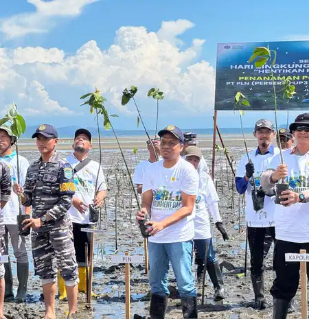 PLN UP3 Tolitoli Kolaborasi Tanam 5.000 Pohon Mangrove untuk Lindungi Pesisir dari Abrasi