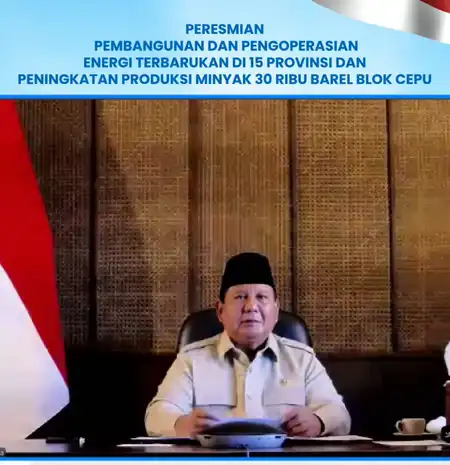 47 PLTS Diresmikan Presiden, 5.383 Rumah Tangga di Wilayah 3T Kini Nikmati Listrik Bersih