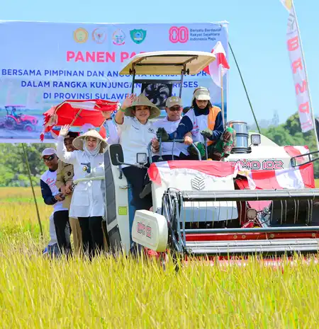 Sulsel Catat Surplus 1,21 Juta Ton Beras, Komisi IV DPR RI Panen Raya di Maros