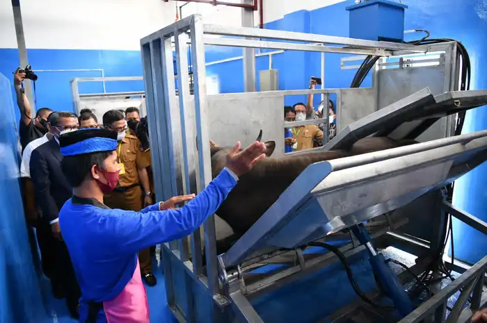 RPH Modern Makassar, Solusi Pengolahan Daging Higienis dan Halal ...