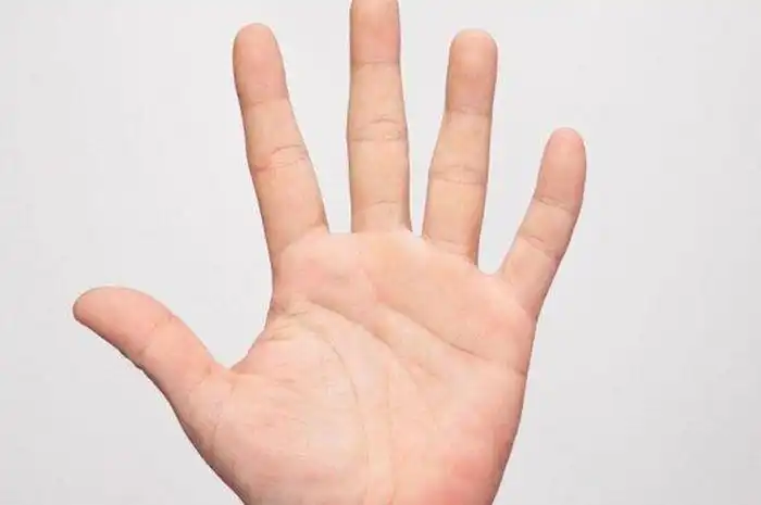 Jarang Diketahui, Ini Arti dan Cara Membaca Garis Pernikahan Di Telapak