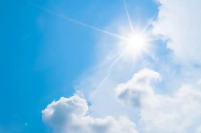 9 Contoh Sumber Daya Alam yang Dapat Diperbaharui dan Penjelasannya