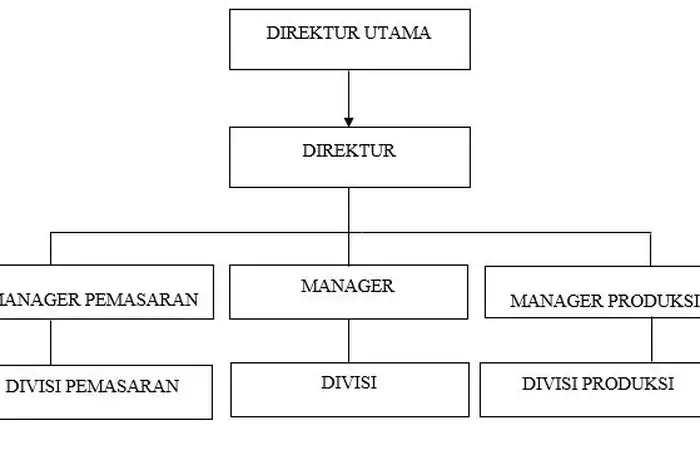 8 Contoh Struktur Organisasi Disertai Gambar, Lengkap dengan Fungsi