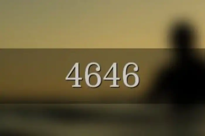 ARTI Kode 4646 dan 599, Berikut Penjelasan Selengkapnya - Sonora.id