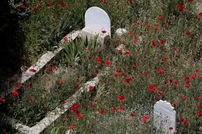 Amalan Untuk Orang Tua Yang Sudah Meninggal Sonora Id