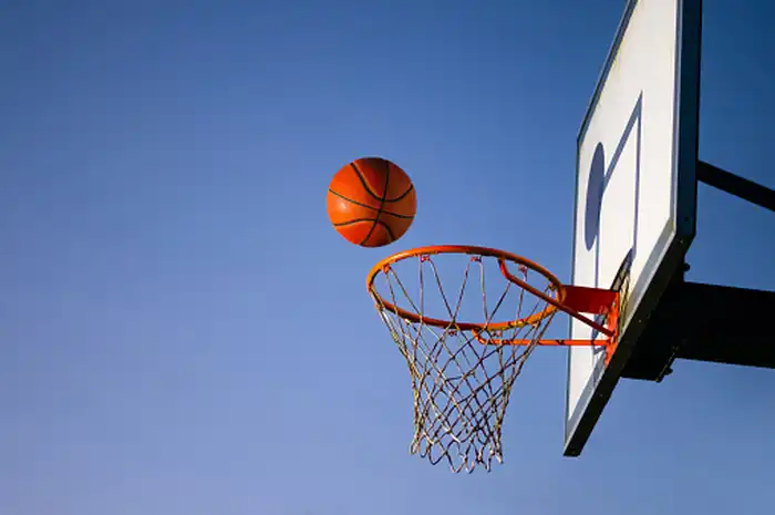 Induk Organisasi Bola Basket Nasional, Lengkap dengan Fungsi dan ...