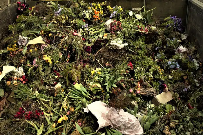 Mengenali Sampah Organik: Pengertian, Jenis, dan Contoh - Sonora.id