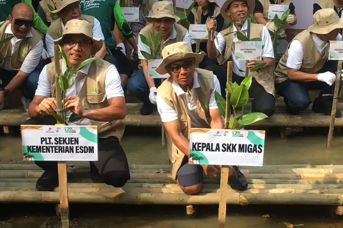 Luncurkan Gerakan One Two Trees, Komitmen SKK Migas Jaga Keberlanjutan ...