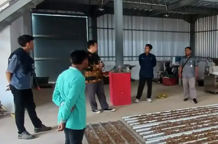 Rumah Produksi Bersama (RPB) Jahe di Desa Jonggon Jaya. (Istimewa)